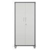 71" Metal Garage Storage Cabinet with Wheels - Heavy-Duty Tool Storage Cabinet for Home, Office, School, and Garage Organization, Black/Gray